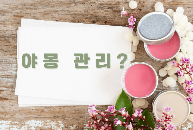 야몽관리: 타이마사지에서 야몽 뜻과 종류